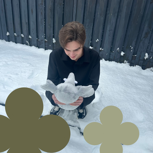 Wat is de beste verzwaringsknuffel voor de winter?