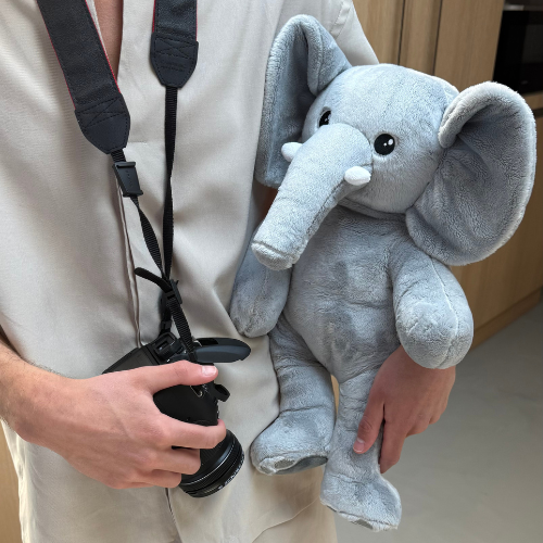 Verzwaringsknuffel olifant van 2kg