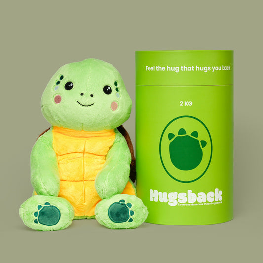 Green Hugsback weighted plush turtle next to the green gift tube on a green background