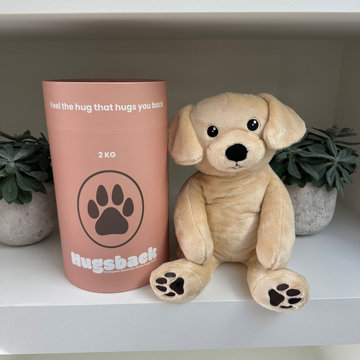 Beiges Gewichtskuscheltier Hund neben der rosa Hugsback-Geschenkröhre auf einem Regal