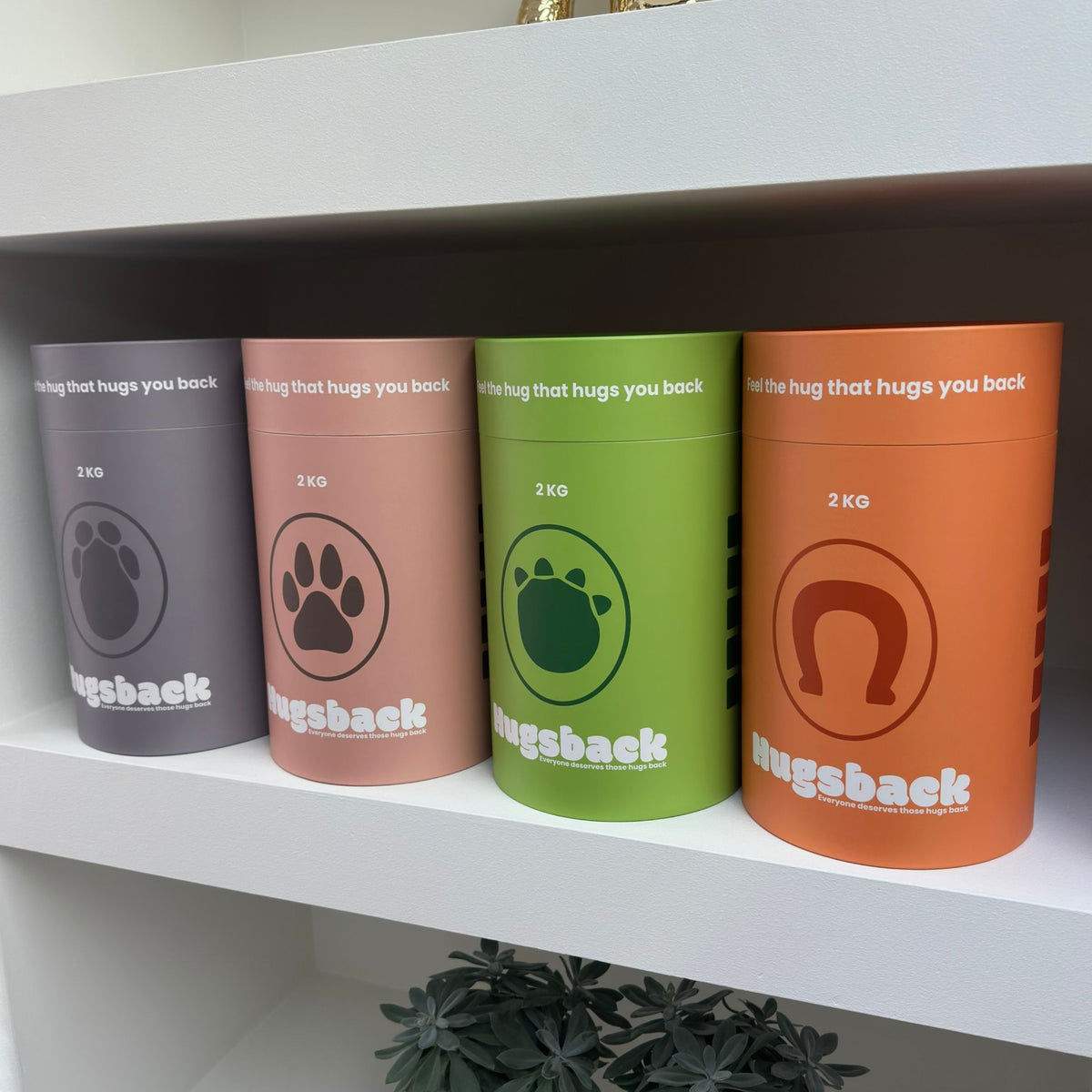 Vier Hugsback-Geschenkröhren in Grau, Rosa, Grün und Orange auf einem Regal