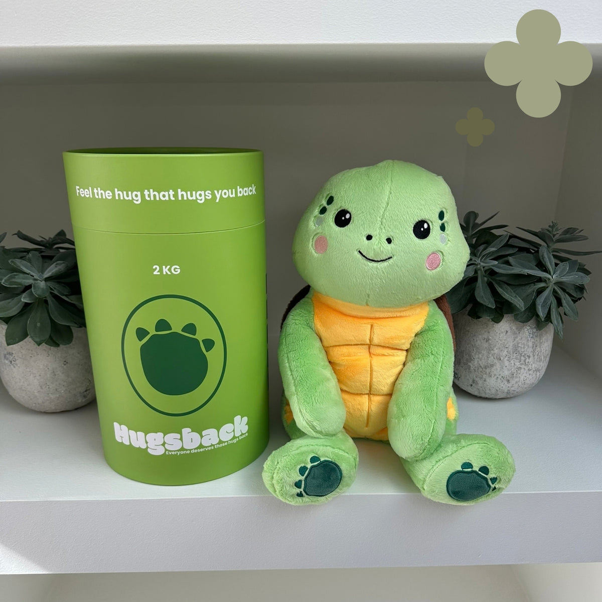 Peluche lestée tortue verte à côté du tube cadeau Hugsback vert sur une étagère