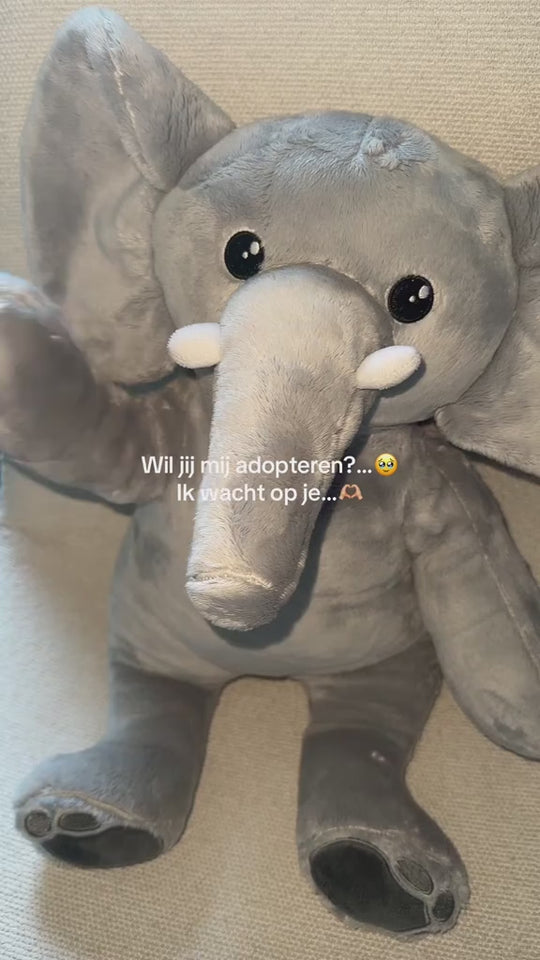 Video van de grijze verzwaringsknuffel olifant met de tekst: wil jij mij adopteren? Ik wacht op je