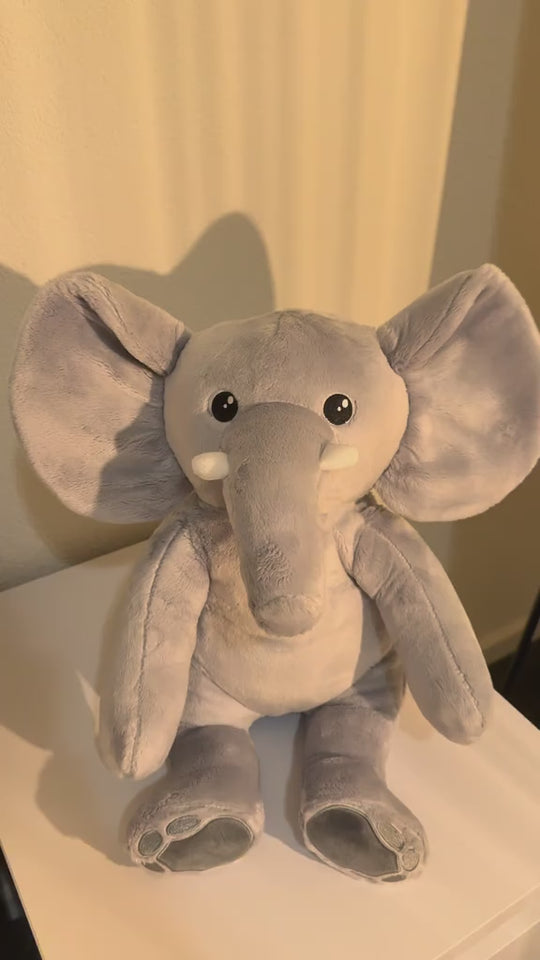Video van de grijze verzwaringsknuffel olifant zittend in warm avondlicht