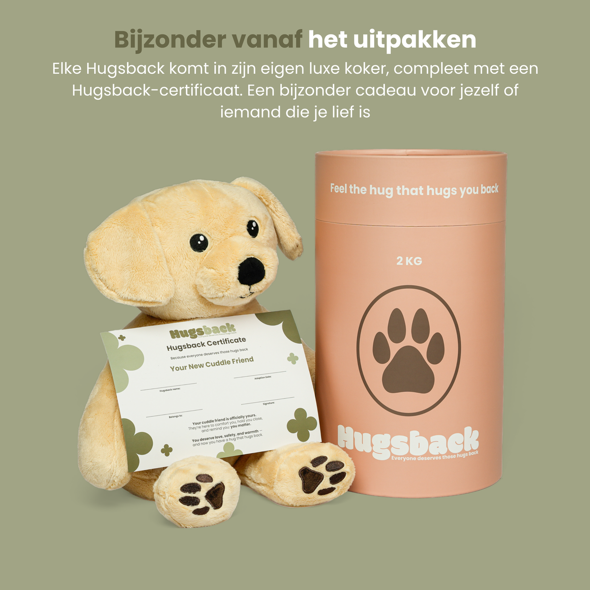 Tyngdebamsen hund med Hugsback-certifikat ved siden af det luksuriøse laksefarvede gaverør