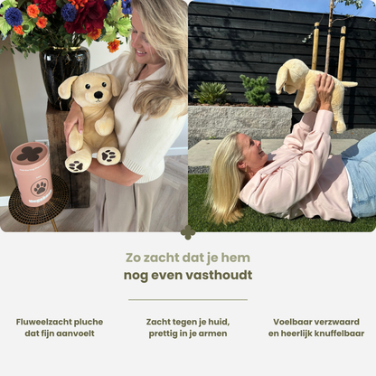 Kvinde holder den bløde tyngdebamse hund, indendørs og udendørs