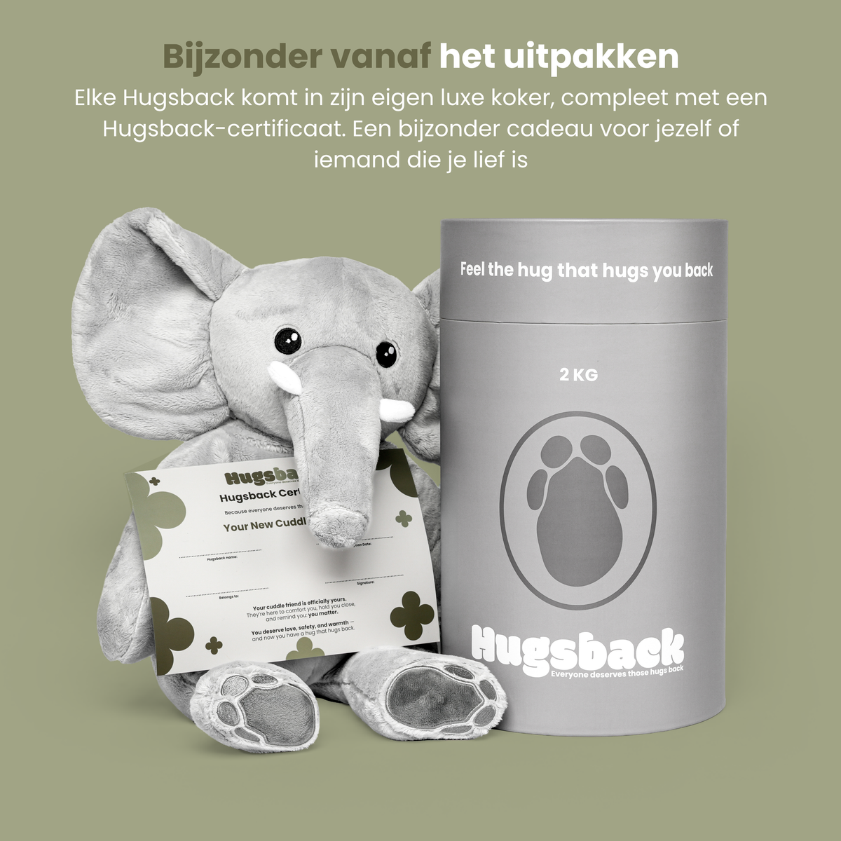 Tyngdebamsen elefant med Hugsback-certifikat ved siden af det luksuriøse grå gaverør