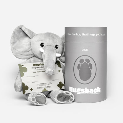 Tyngdebamsen elefant holder Hugsback-certifikatet ved siden af gaverøret