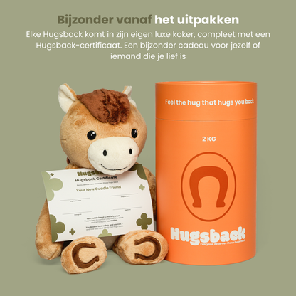 Tyngdebamsen hest med Hugsback-certifikat ved siden af det luksuriøse orange gaverør
