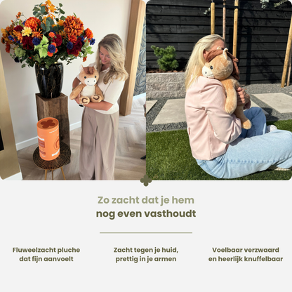 Kvinde holder den bløde tyngdebamse hest, indendørs og udendørs