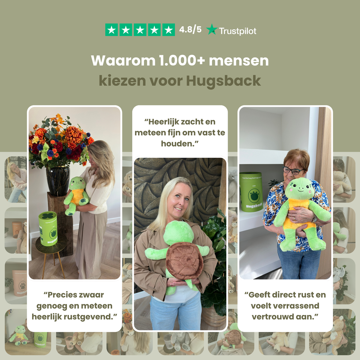 Kundeanmeldelser af tyngdebamsen skildpadde, bedømt med 4,8 ud af 5 på Trustpilot